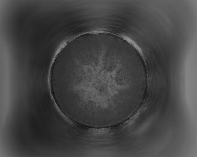 X0000095941429200801111321