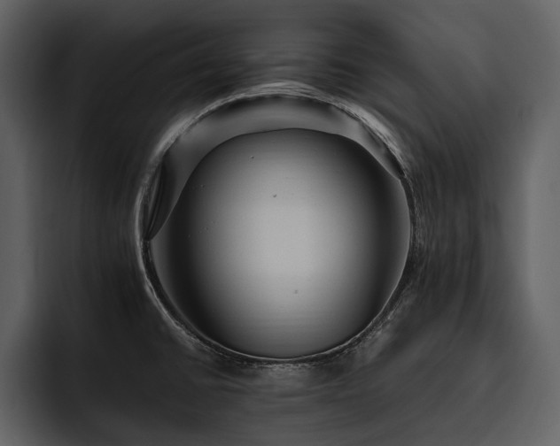 X0000095941430200801111321