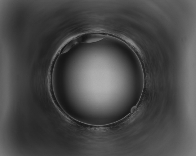 X0000095941432200801111321