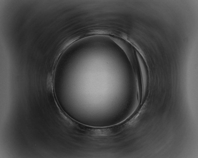 X0000095941433200801111321