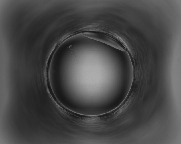 X0000095941434200801111321