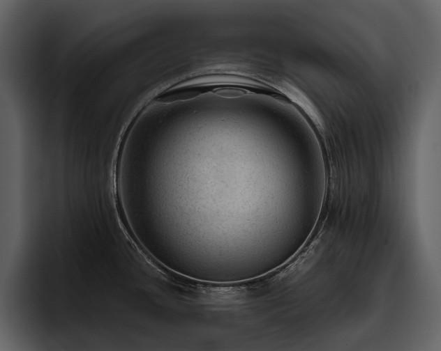 X0000095941436200801111321