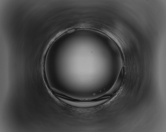 X0000095941437200801111321