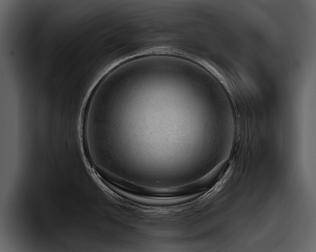 X0000095941438200801111321