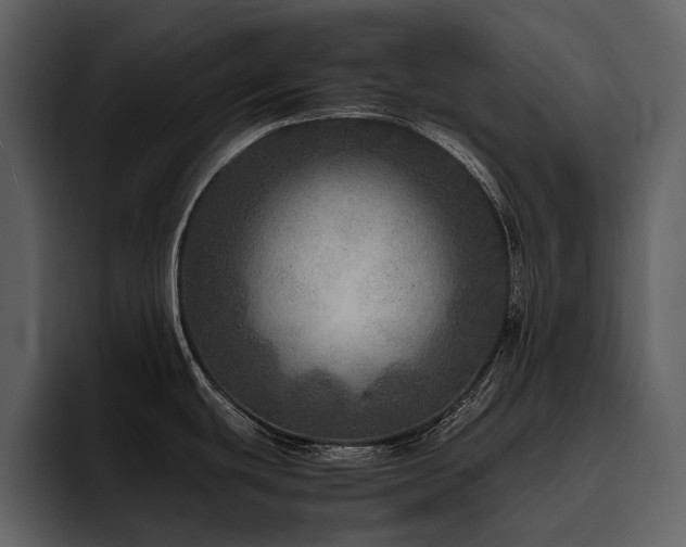 X0000095941439200801111321