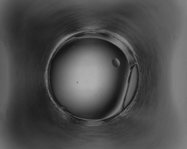 X0000095941440200801111321