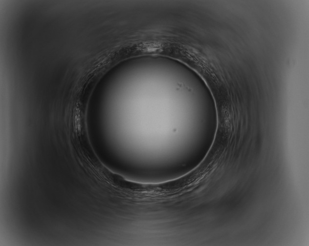 X0000095941442200801111320