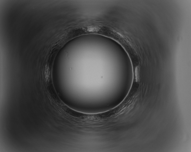 X0000095941443200801111320