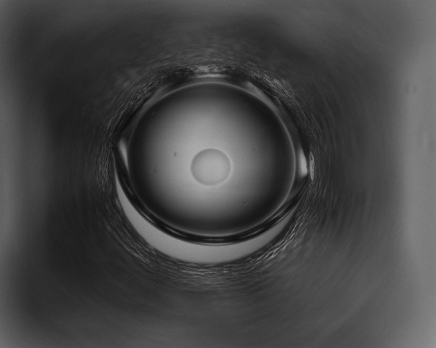 X0000095941444200801111320