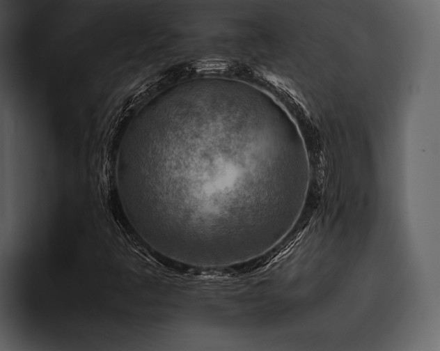 X0000095941445200801111320