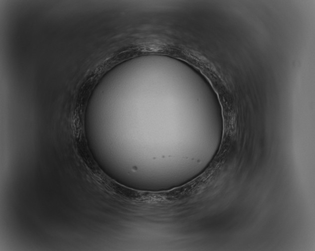 X0000095941446200801111320