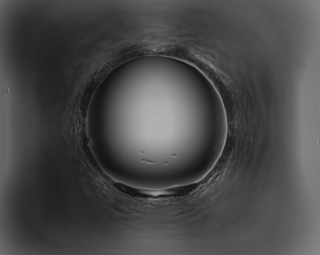 X0000095941447200801111320