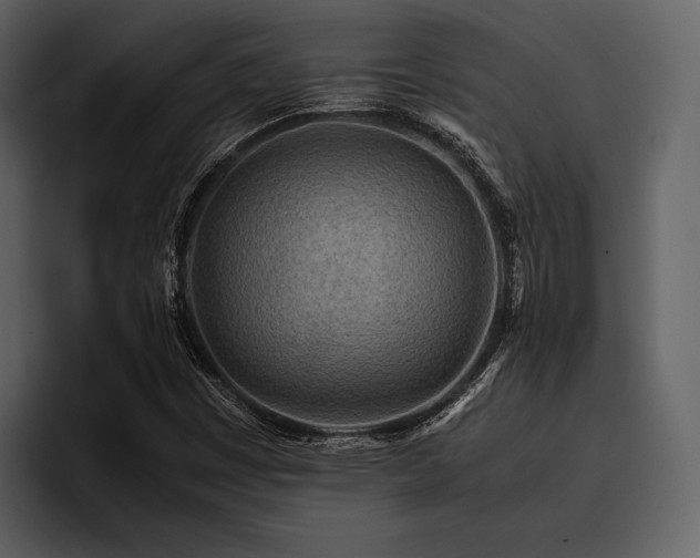X0000095941449200801111320