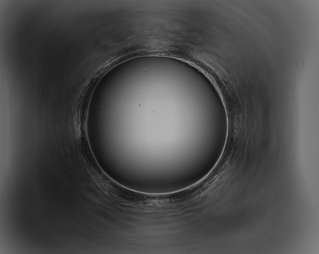 X0000095941451200801111320