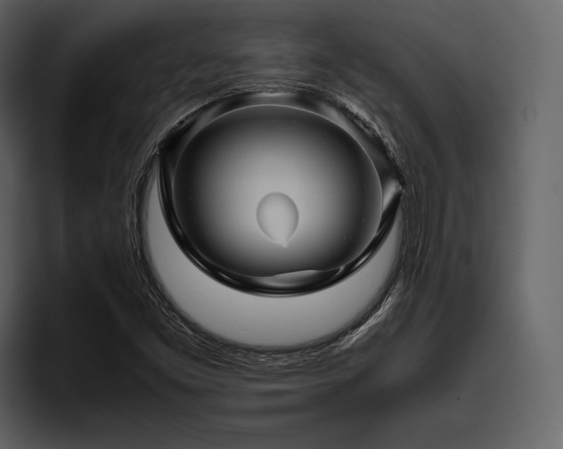X0000095941453200801111320
