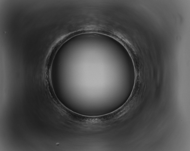 X0000095941454200801111320
