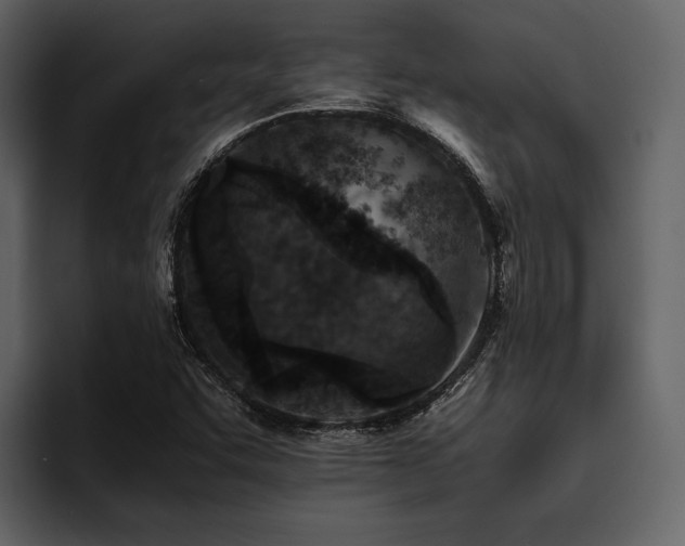 X0000095941455200801111320