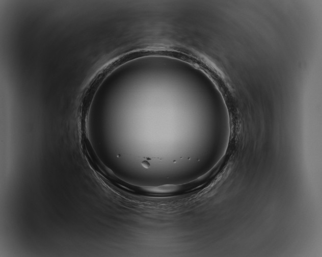 X0000095941456200801111320