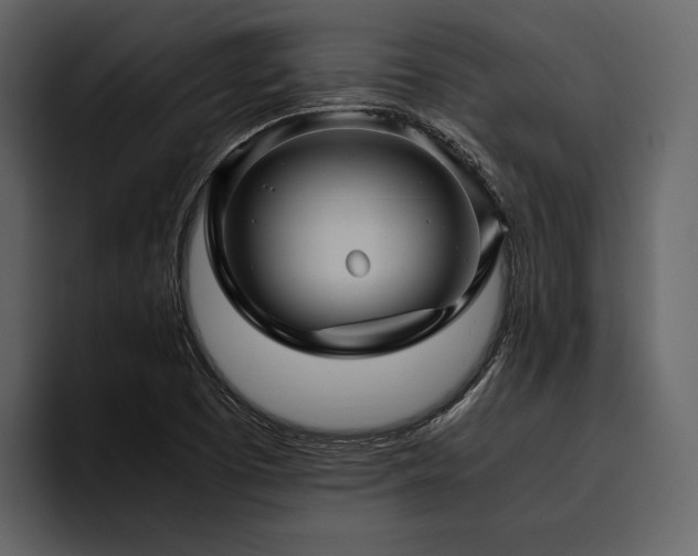X0000095941457200801111320