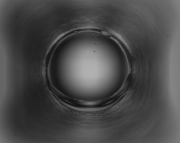 X0000095941460200801111320