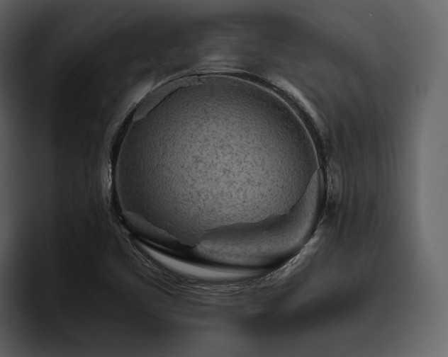 X0000095941461200801111320