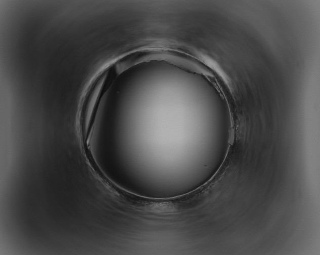 X0000095941464200801111320
