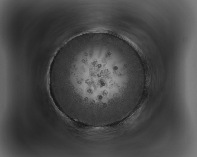 X0000095941471200801111320