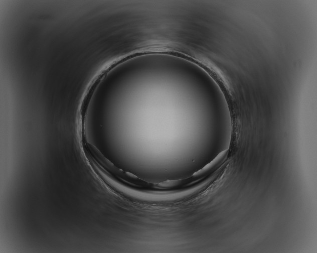 X0000095941472200801111320