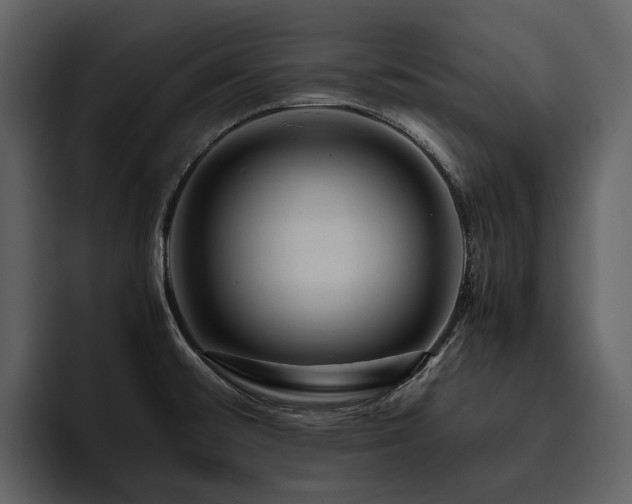 X0000095941476200801111320