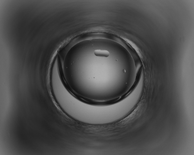 X0000095941477200801111320
