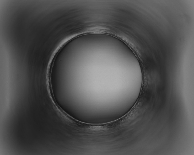 X0000095941478200801111320
