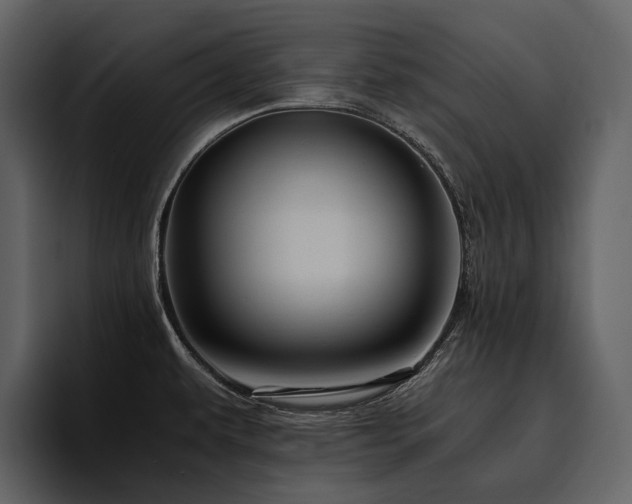 X0000095941479200801111320
