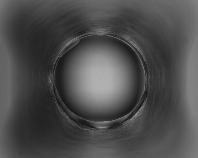 X0000095941481200801111320