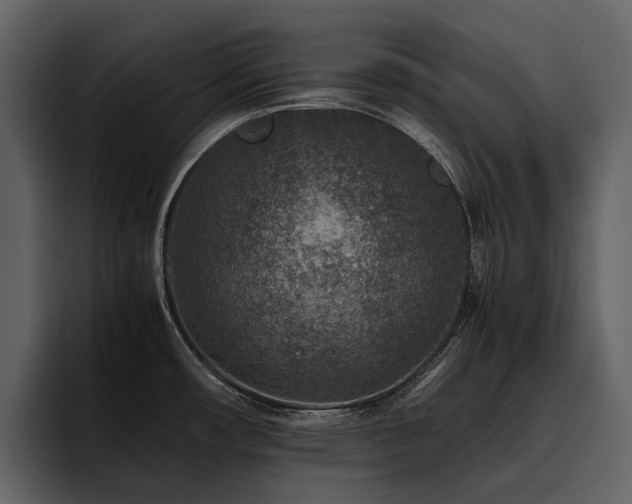 X0000095941482200801111320