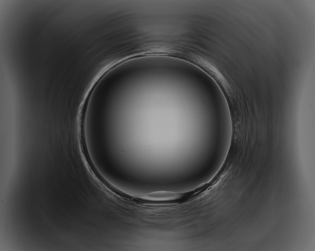 X0000095941483200801111320