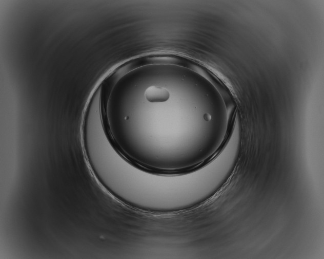 X0000095941484200801111320
