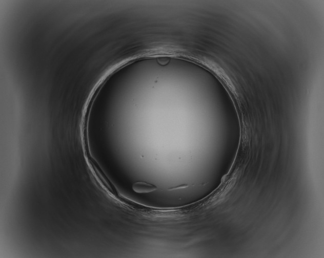 X0000095941486200801111320
