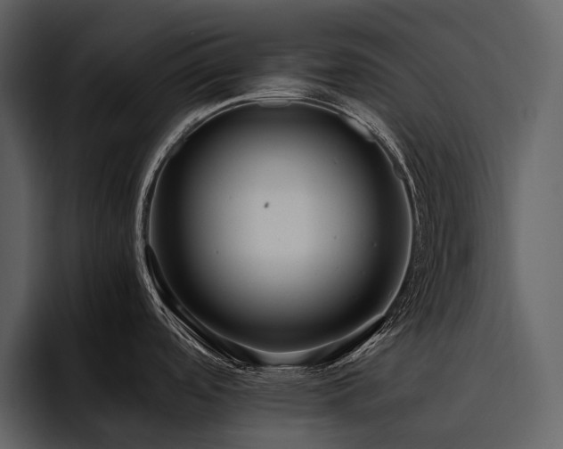 X0000095941488200801111320
