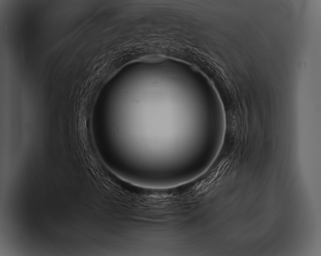 X0000095941489200801111319