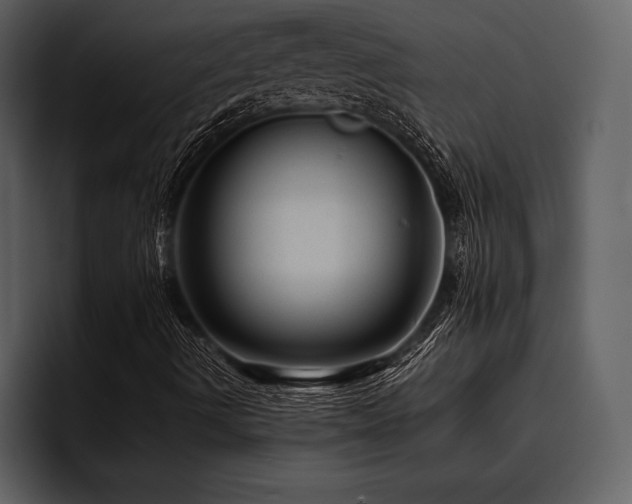 X0000095941490200801111319