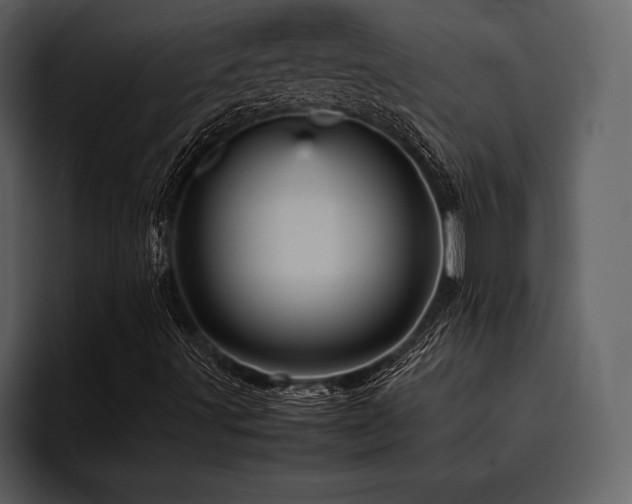 X0000095941491200801111319
