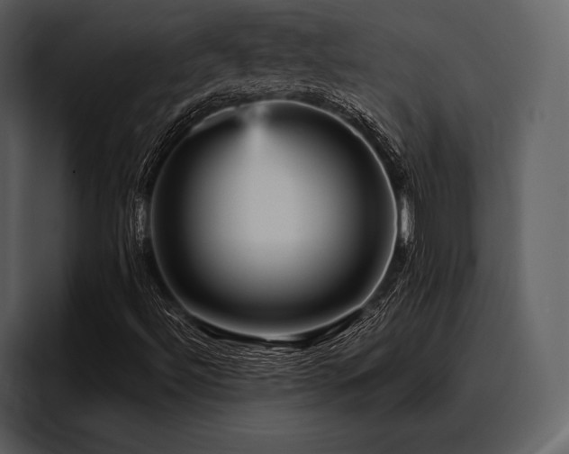 X0000095941492200801111319