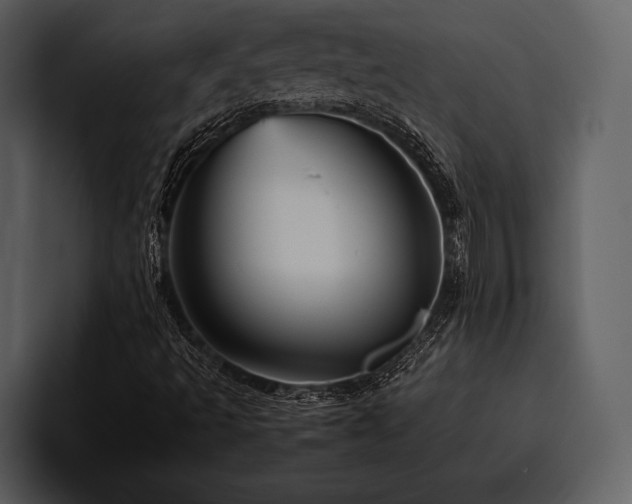X0000095941493200801111319