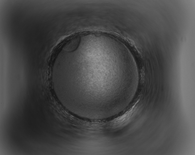 X0000095941494200801111319