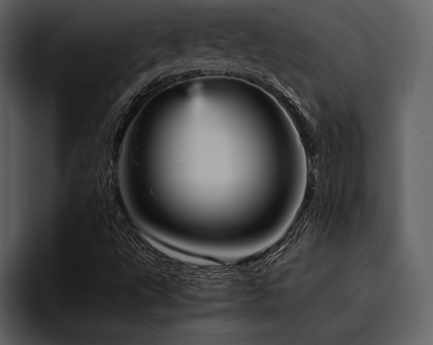 X0000095941495200801111319