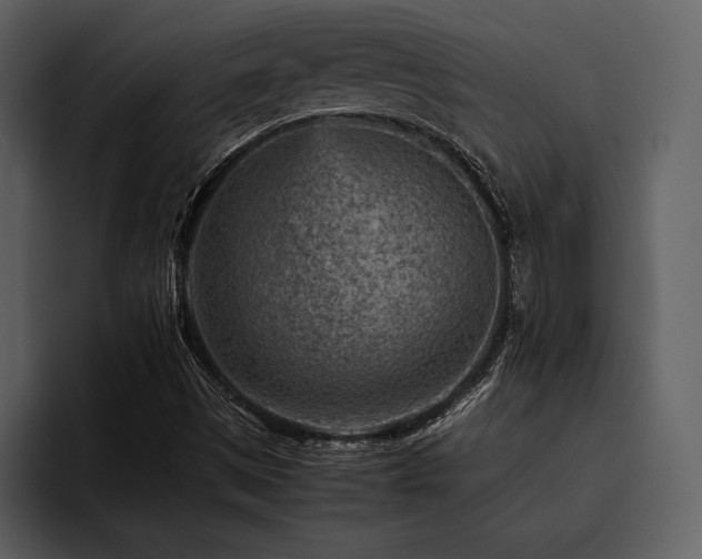 X0000095941497200801111319