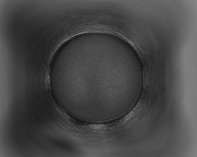 X0000095941498200801111319