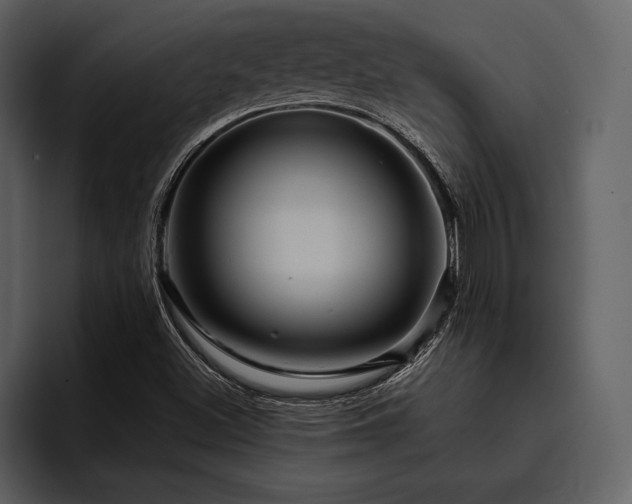 X0000095941500200801111319