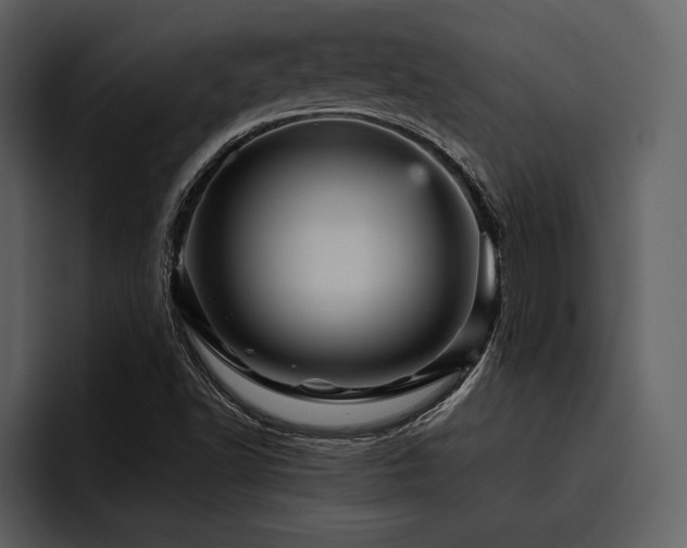 X0000095941502200801111319