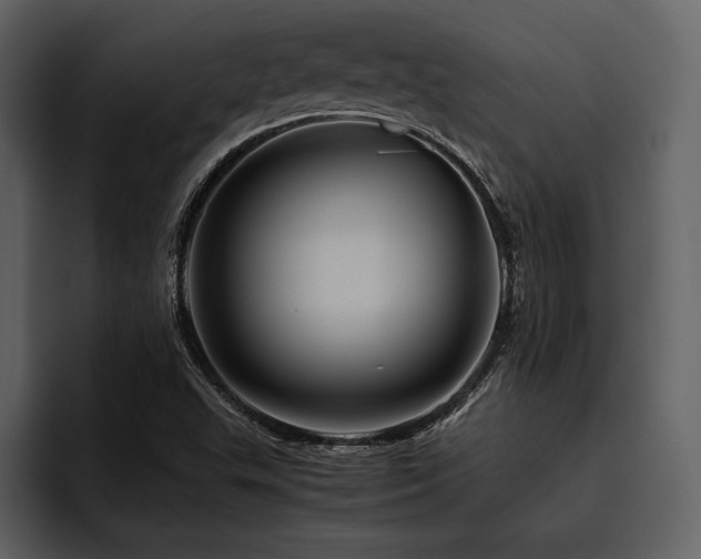 X0000095941503200801111319